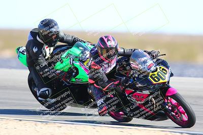 media/Feb-12-2022-SoCal Trackdays (Sat) [[3b21b94a56]]/Turn 11 Inside (155pm)/